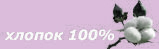 ���� 100% ������